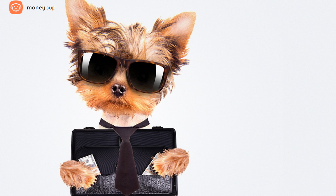 Money Pup Loans_non incent US Preview