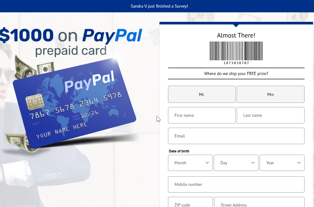  1000 Paypal V4 -  SFRESUMEV4    US Preview