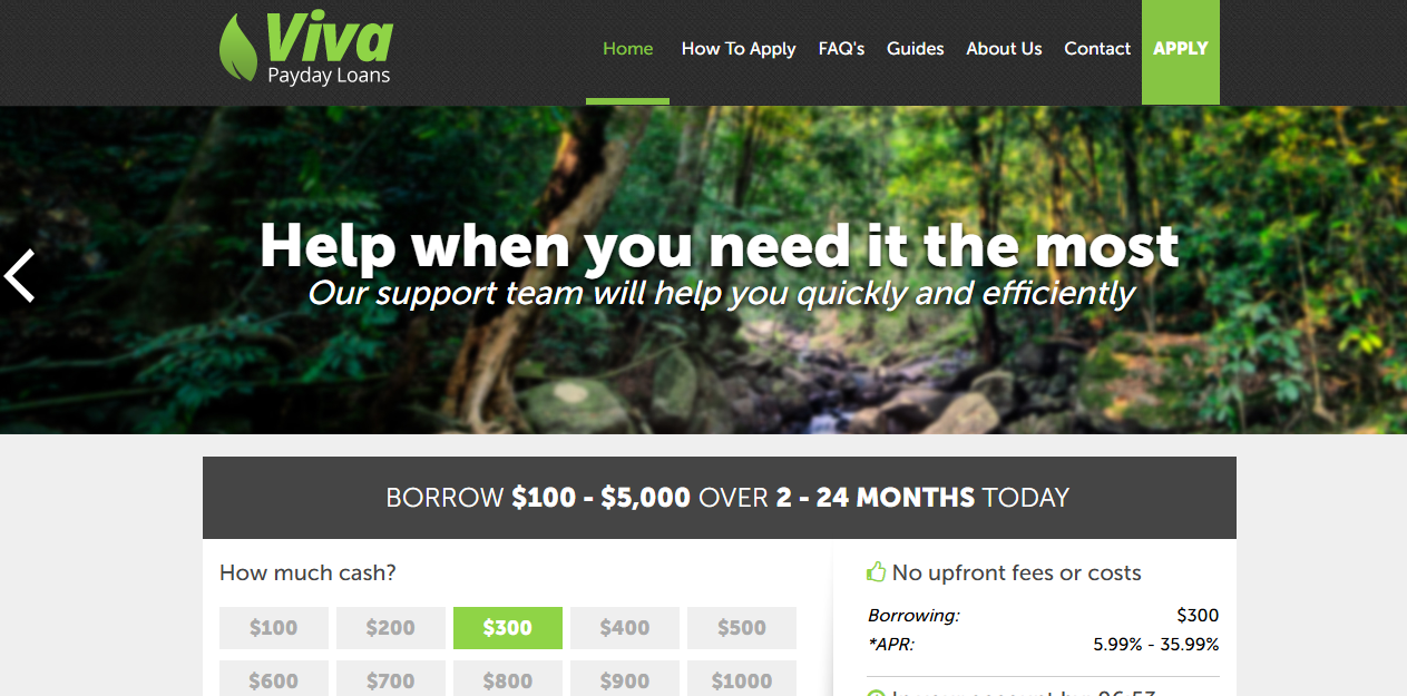 Viva Payday Loans.com Preview