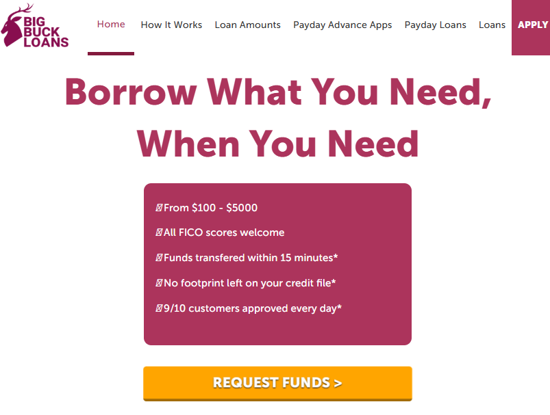 Big Buck Loans  US  - Revshare Preview